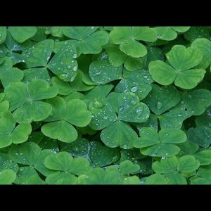 Meet your Posher, Wendy